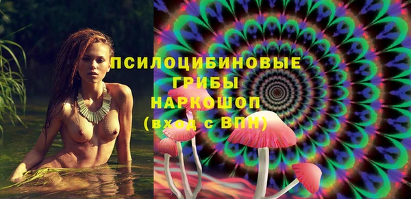 a pvp Аркадак