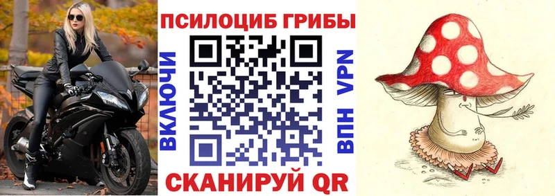 Псилоцибиновые грибы мицелий  купить наркотики сайты  Лесосибирск 